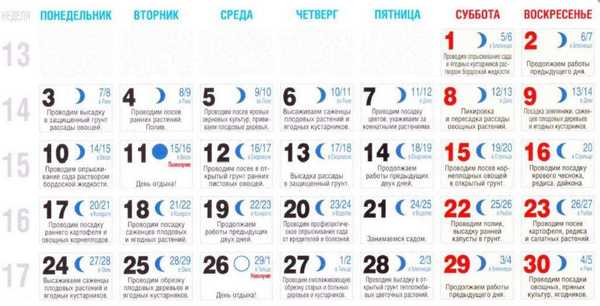 Лунный календарь на январь 25 дачный Посівний календар 2017 року (Своїми руками) Поради щодо вибору подарунків і ство